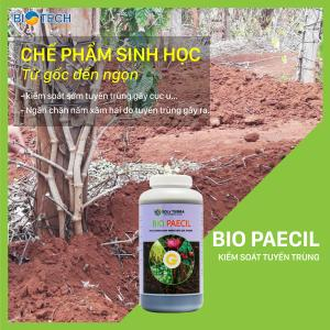 BIO PAECIL - Phòng trừ tuyến trùng hại rễ, ngăn chặn nấm xâm nhập, kiểm soát tốt bệnh chết nhanh chết chậm và tất cả nấm bệnh trên rễ.